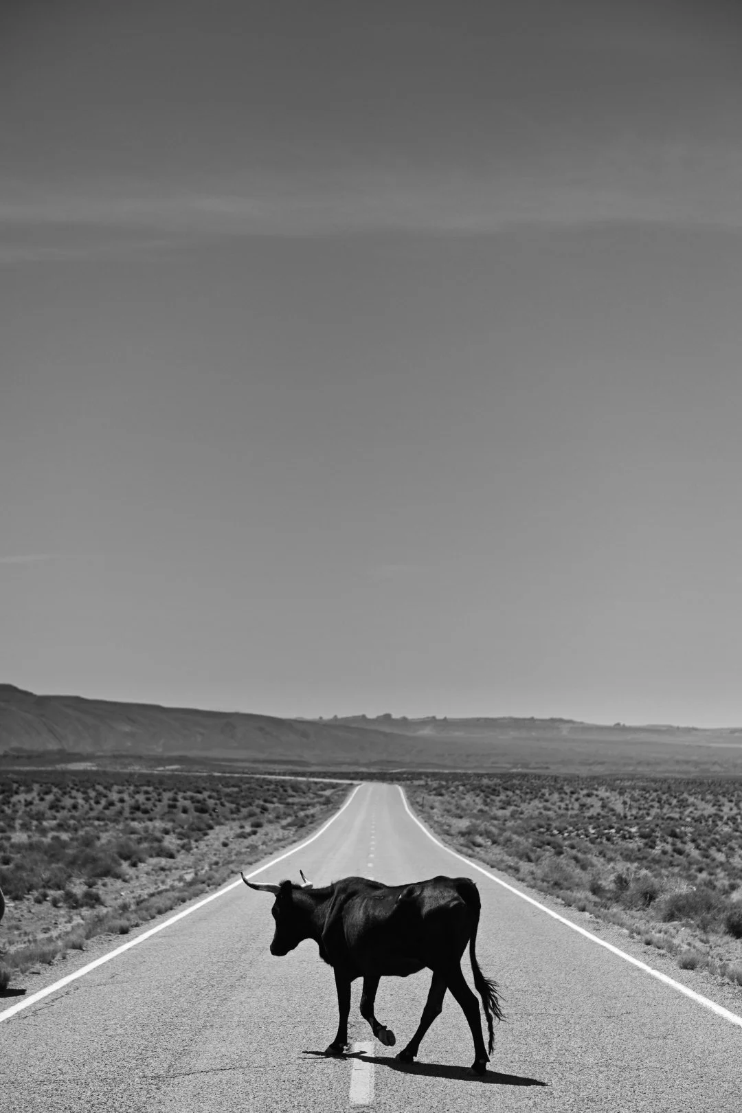"Crossing" by Mitchell Bryant