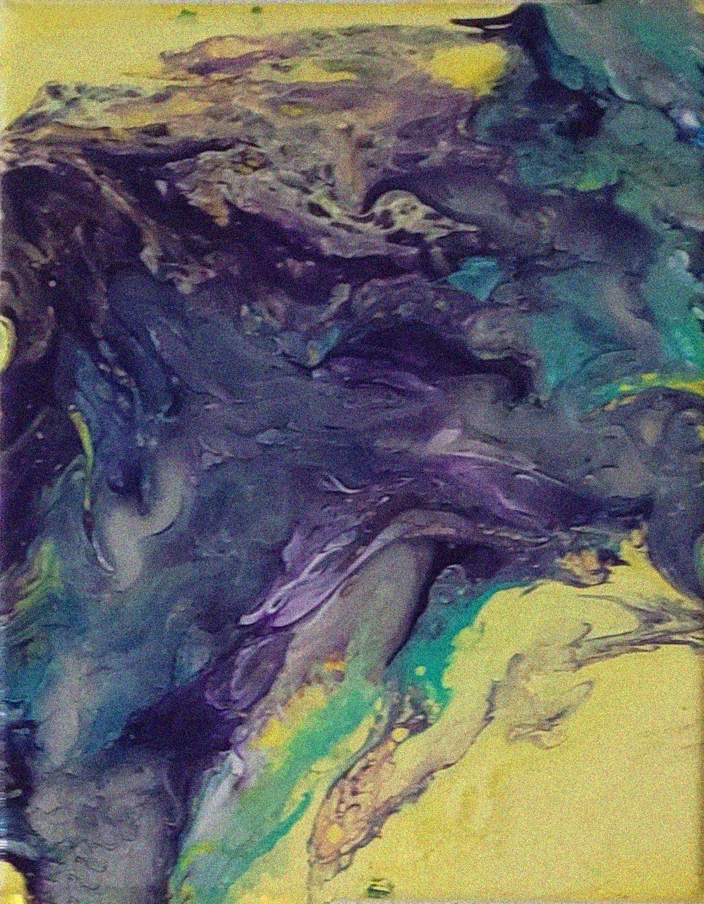 R.Archuleta-Squished Pansy.04.jpg