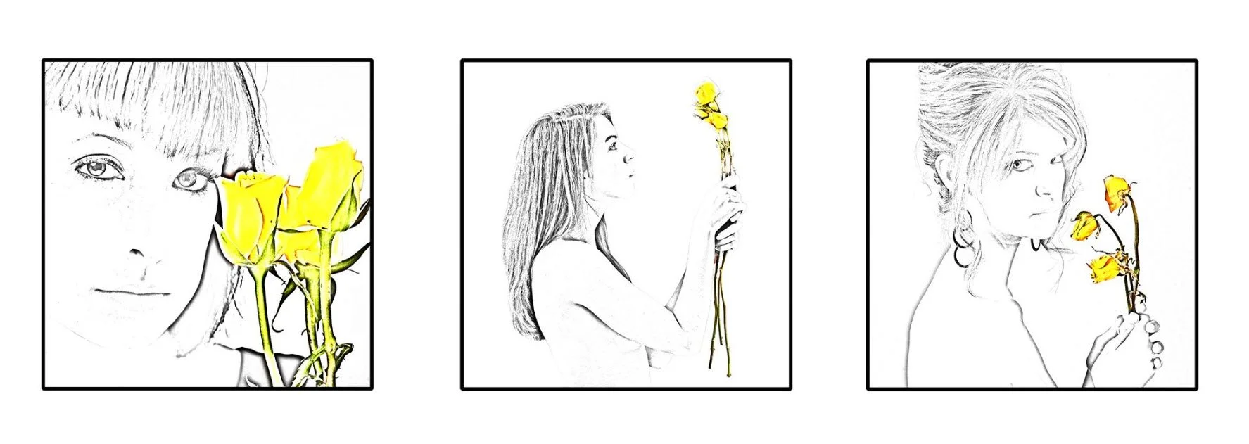 "Three Yellow Roses" by George Fargo
