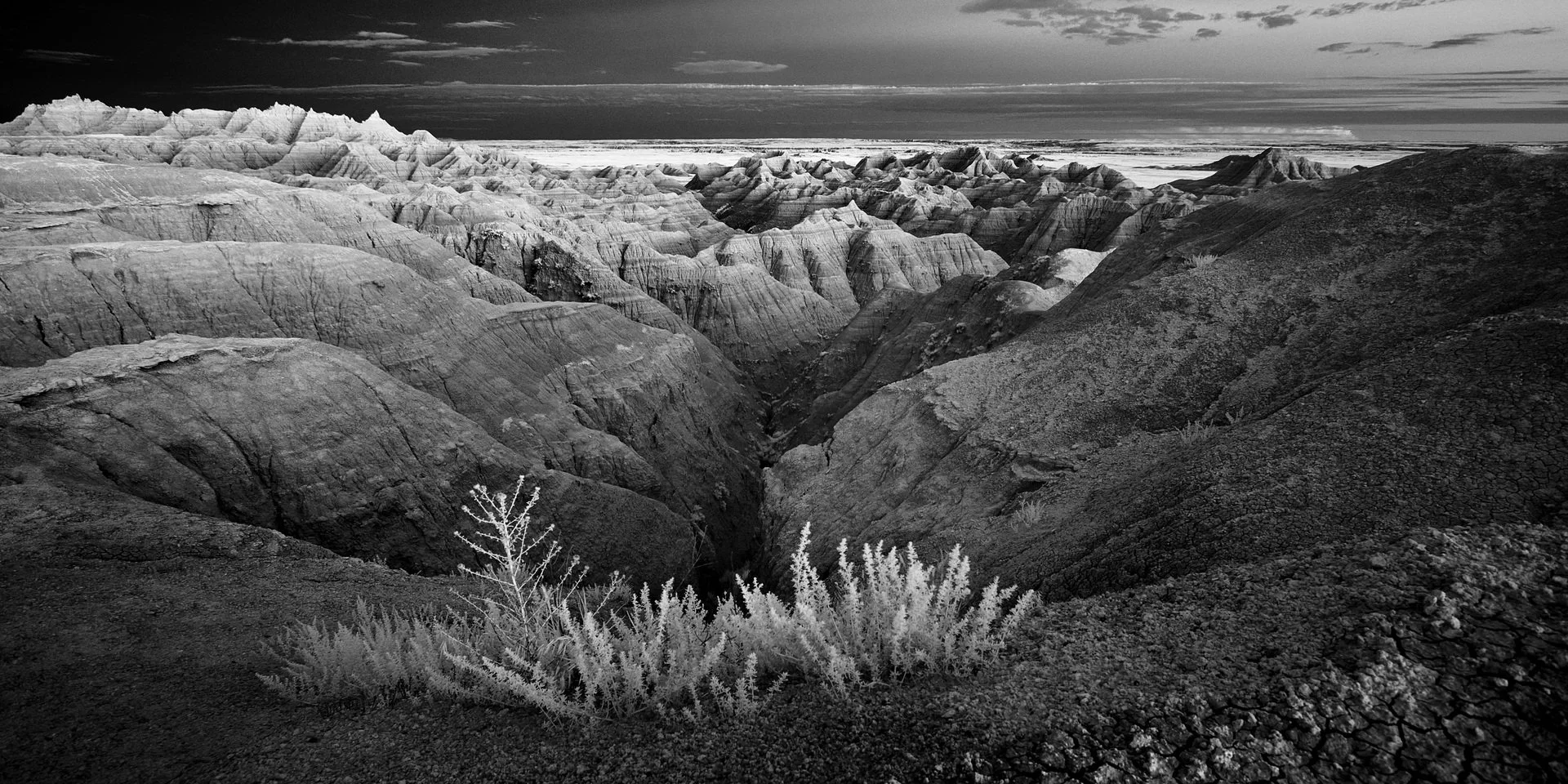 "Badlands View Point" by Ricky Sanders