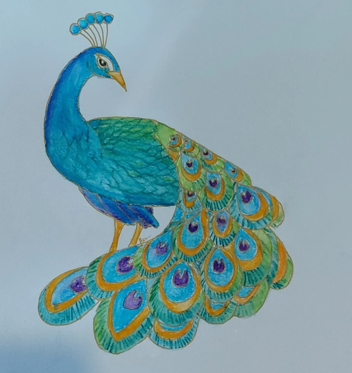 "Strut" by Rebecca Archuleta