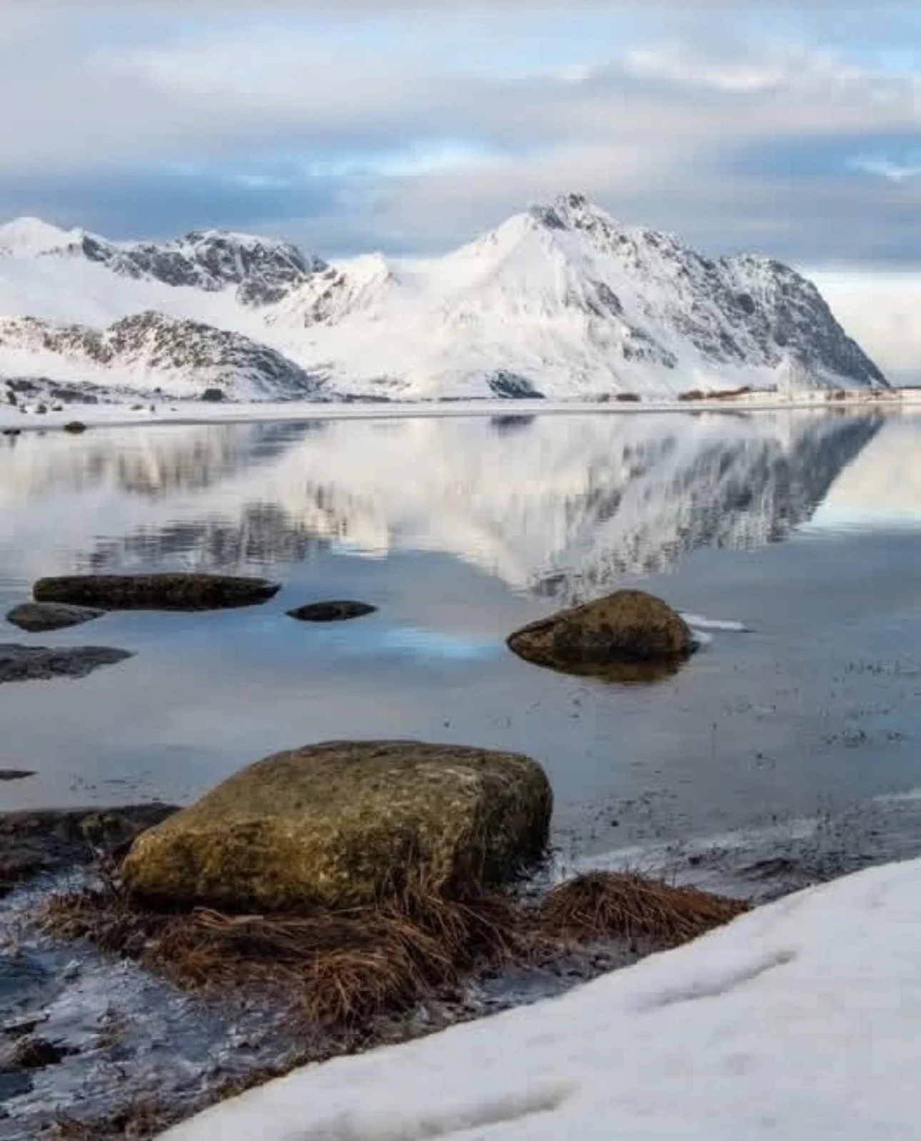 "Grand Contemplation" by Melanie Baker Brigante