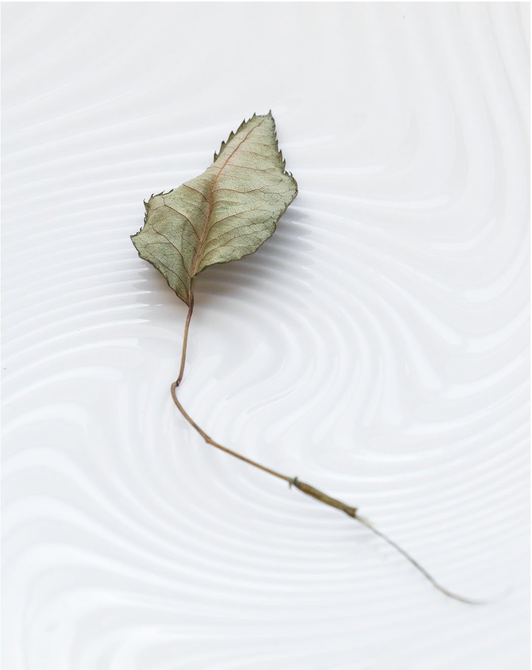 Natures Sculpture by Gabrielle Pruitt