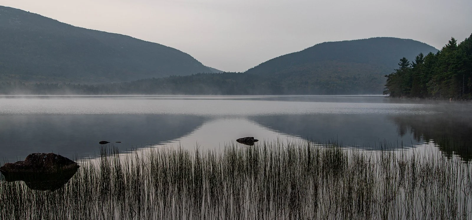 "Morning Mist" by Sean Britt