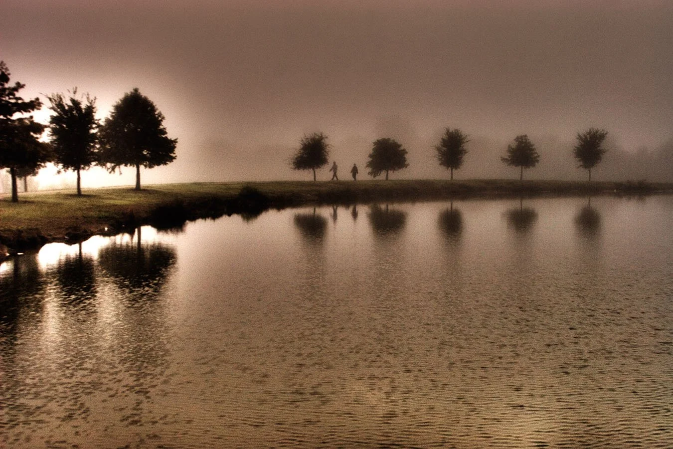 "Morning Fog In Plano" by George Fargo