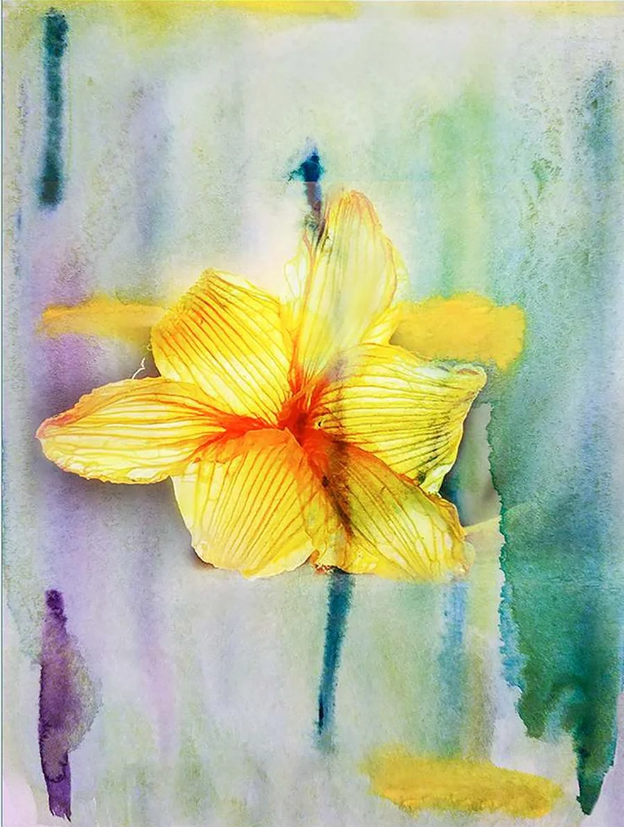 "Imagined" by Gabrielle Pruitt