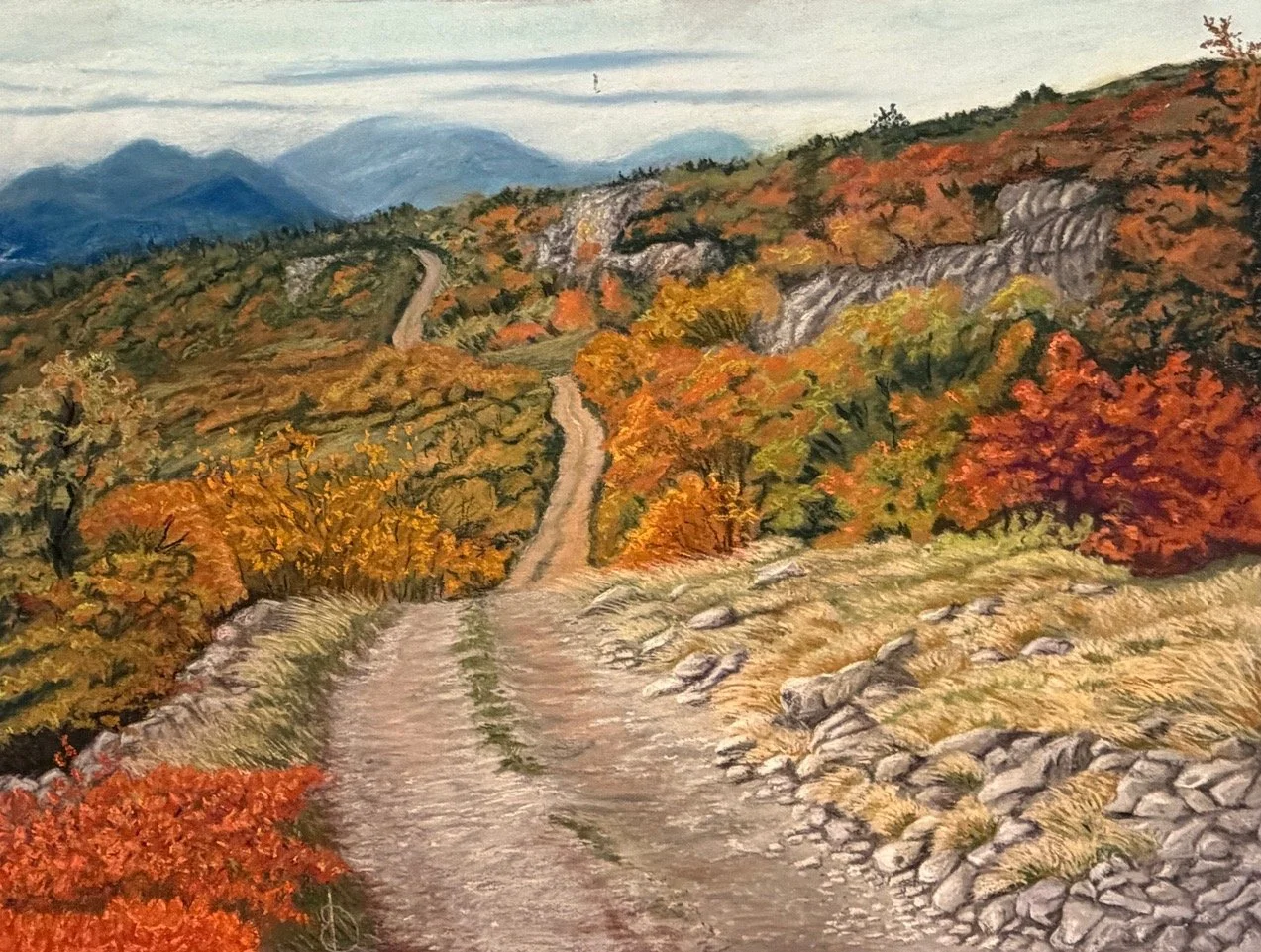"Velebit Mountain Road" by Barbara Dubovsky