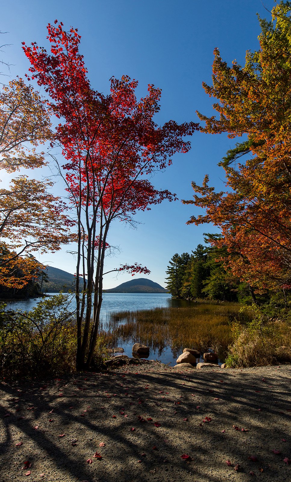 "Eagle Lake Fall" by Sean Britt