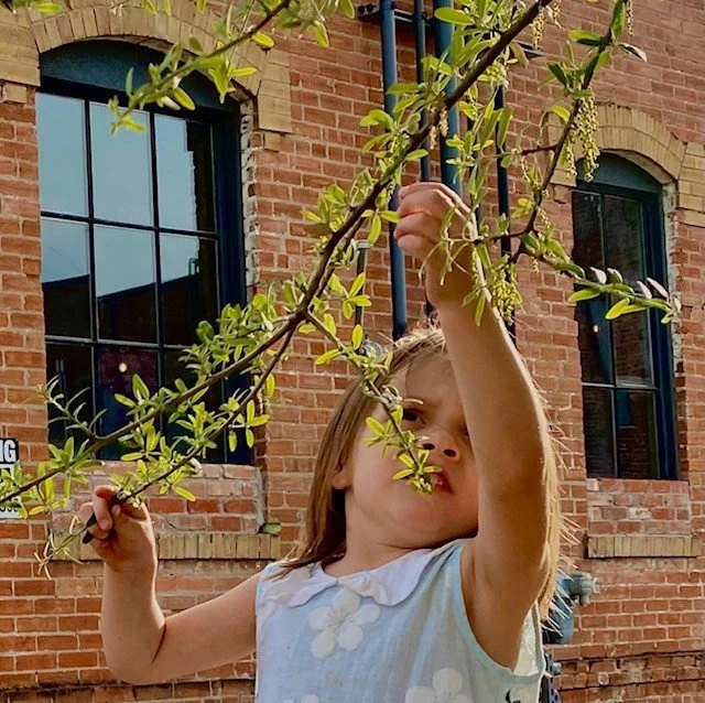 "Inquisitive" by Michelle Long