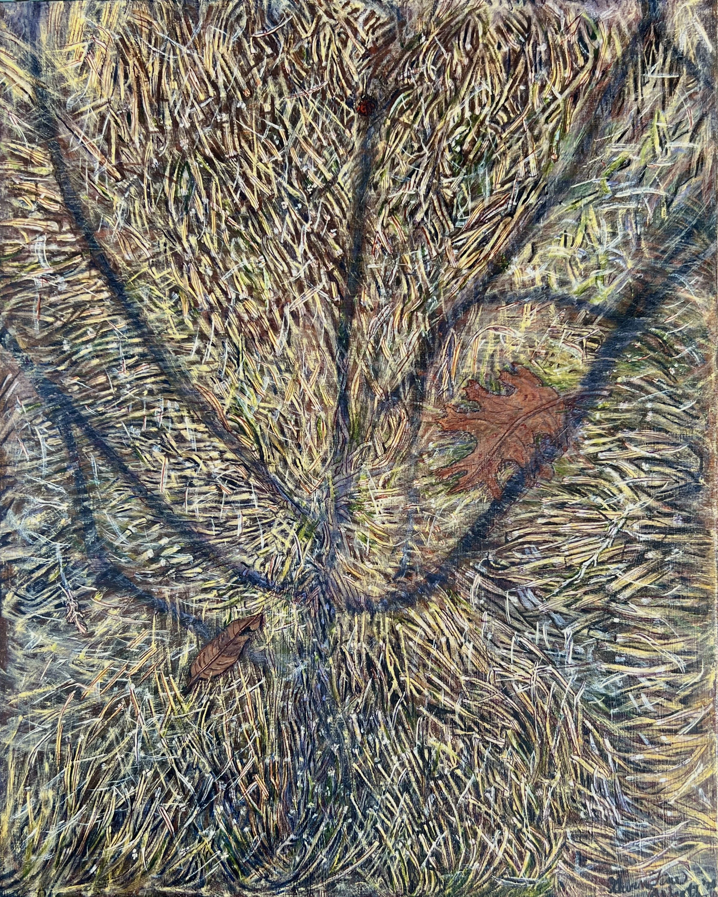 "Shadow Tree" by Gwen Fine Roberts