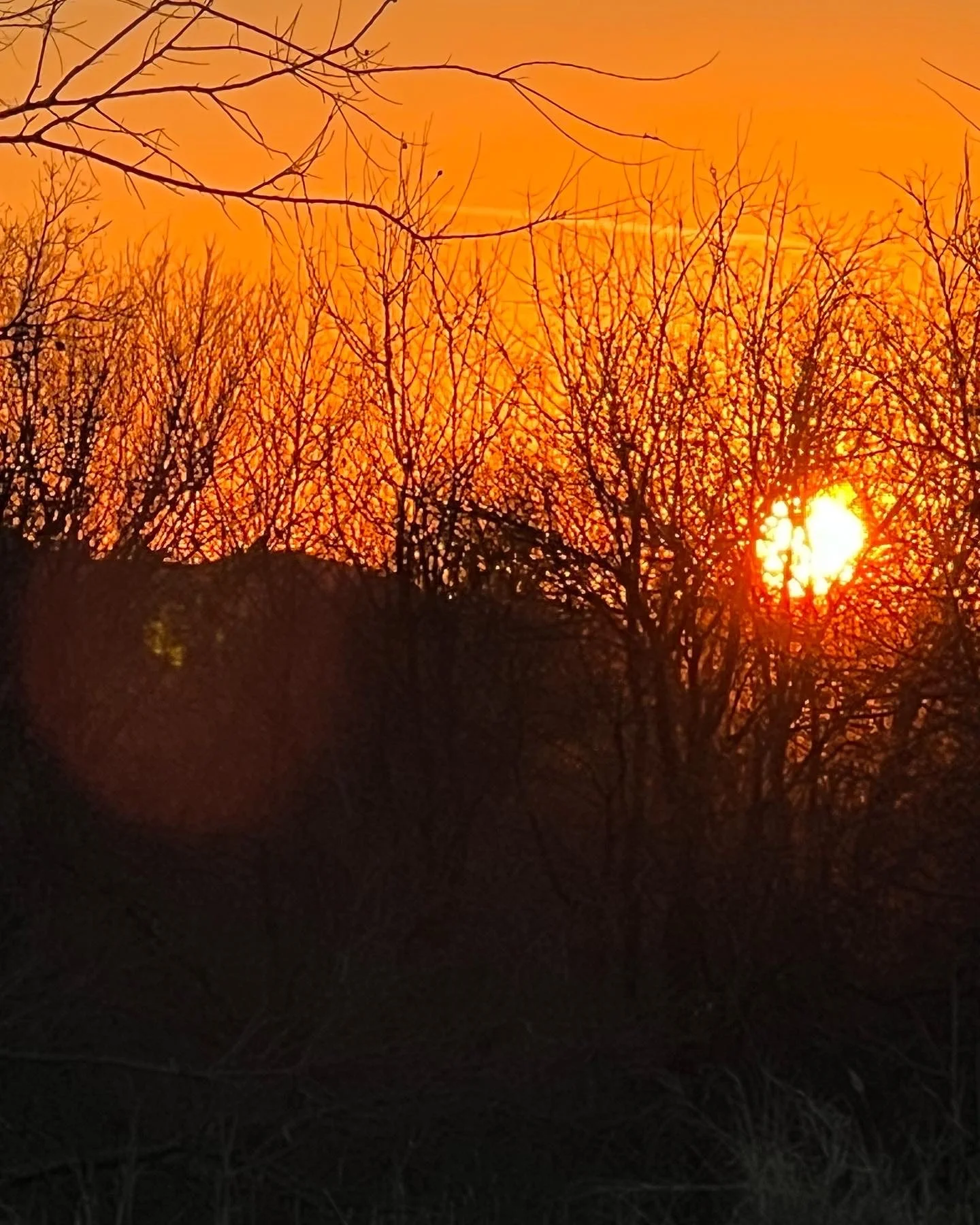 "Gloaming" by Gwen Fine Roberts