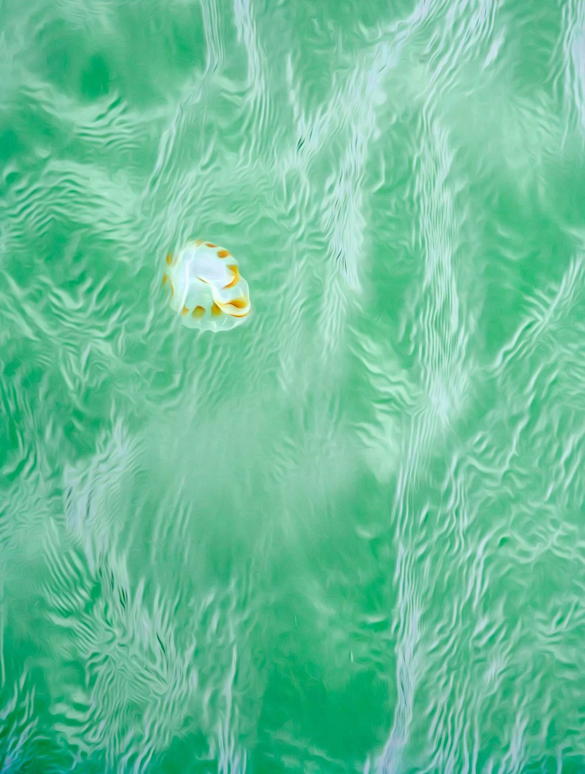 "Jewel of the Tide" by George Fargo