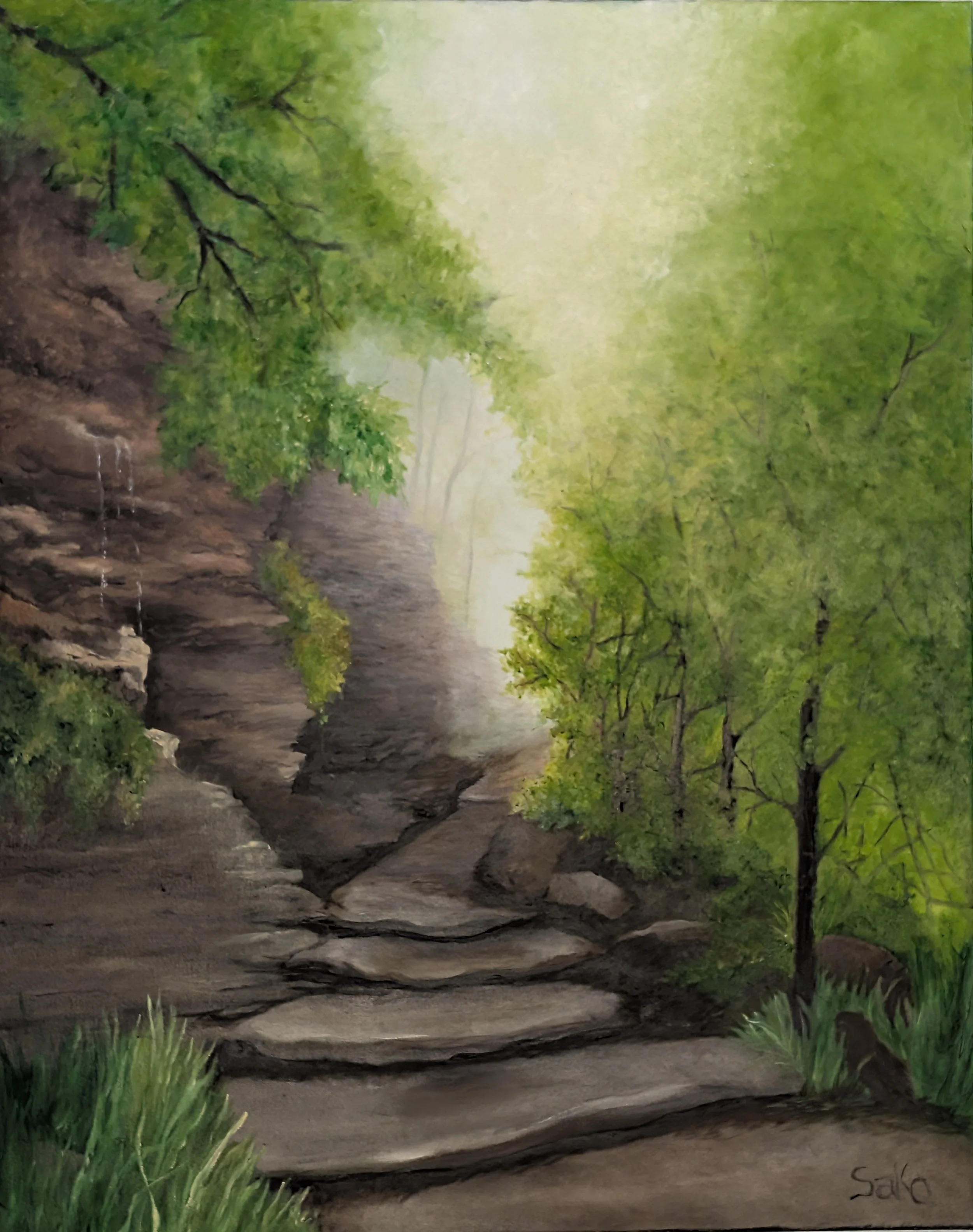 "A Walk Through Nature" by Donna Sako