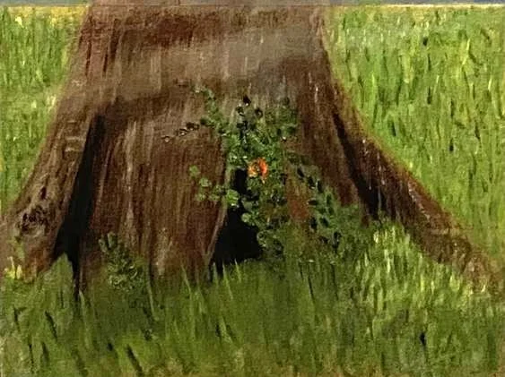 "Tree Stump at Collin College" by Melissa Dillow