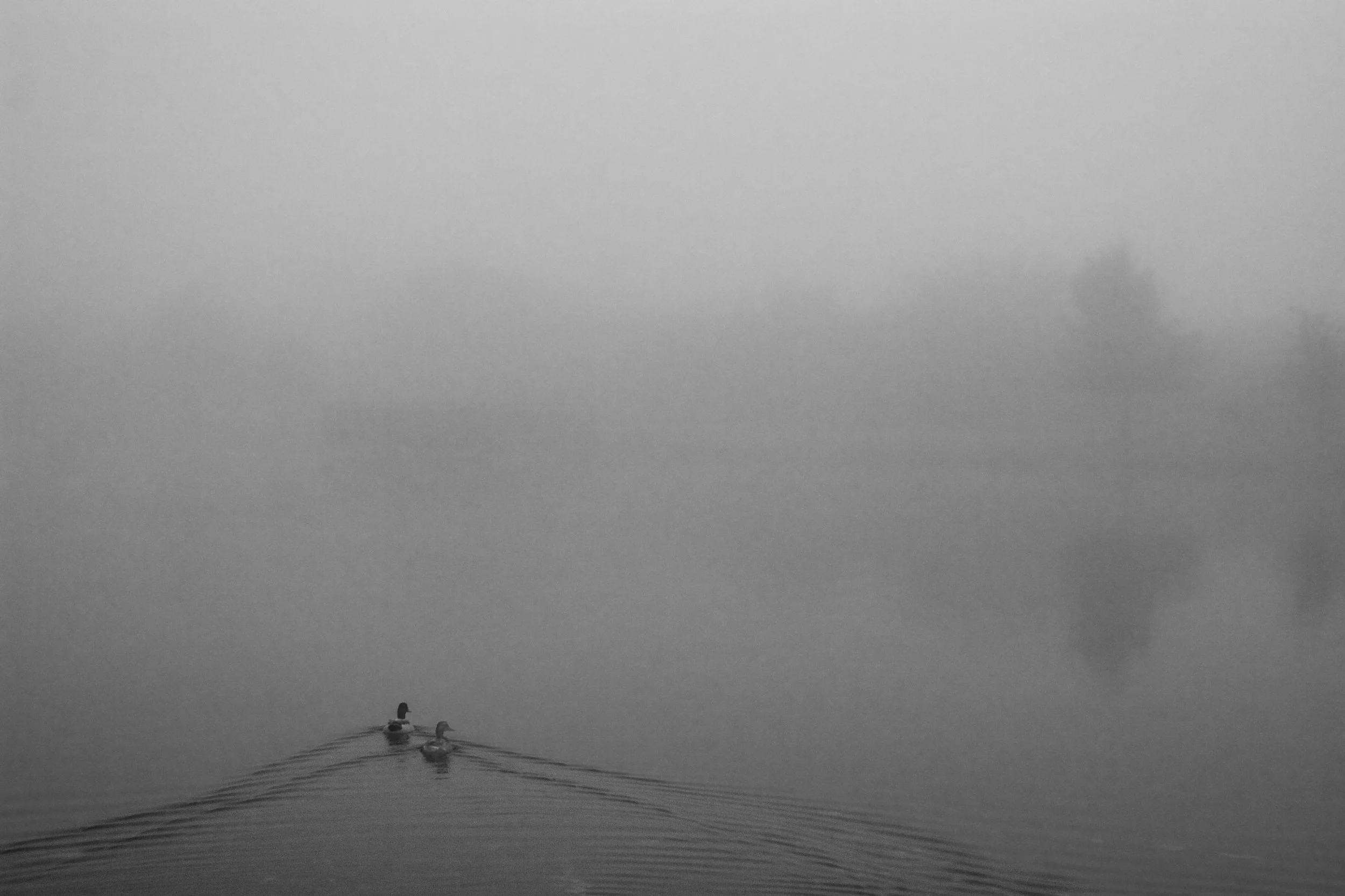 "Journey" by George Fargo