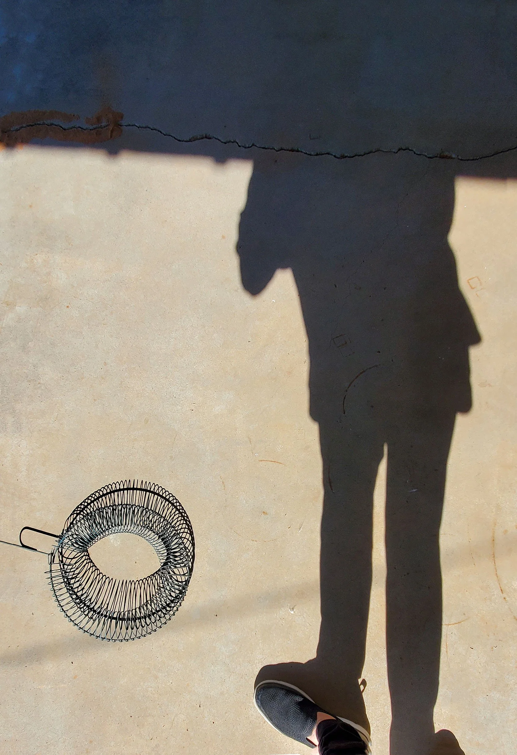 "Shadow Play" by Gabrielle Pruitt