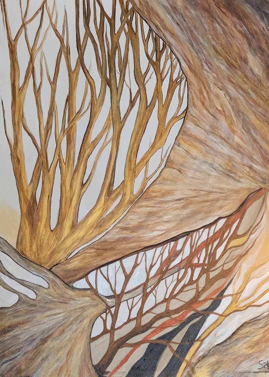 "All That Shimmers" by Donna Sako