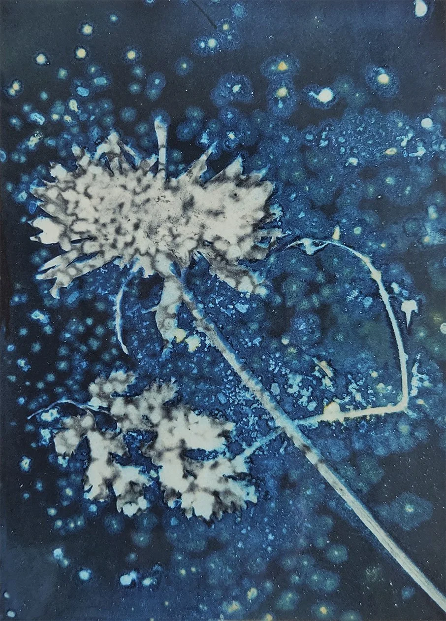 "Exposed-# 5-Cyanotype -Framed" by Gabrielle Pruitt