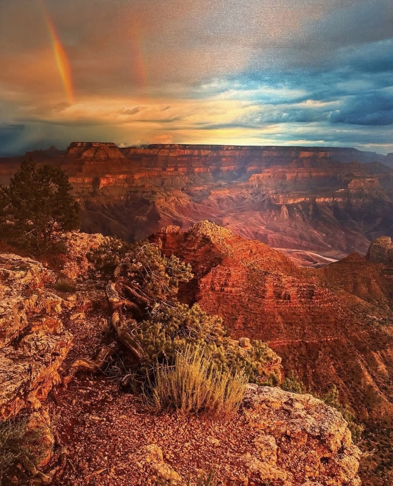 "Grand Meditation" by Melanie Baker Brigante