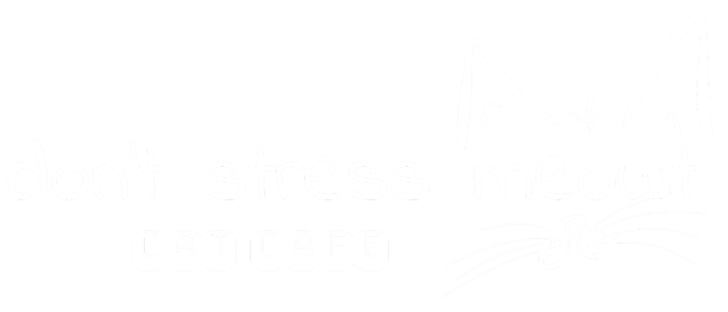 don&#39;t stress meowt