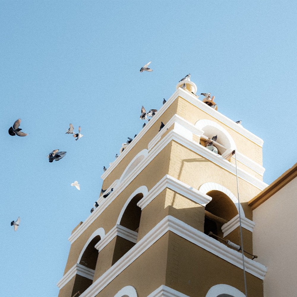 Lightroom Film Presets 5.jpg