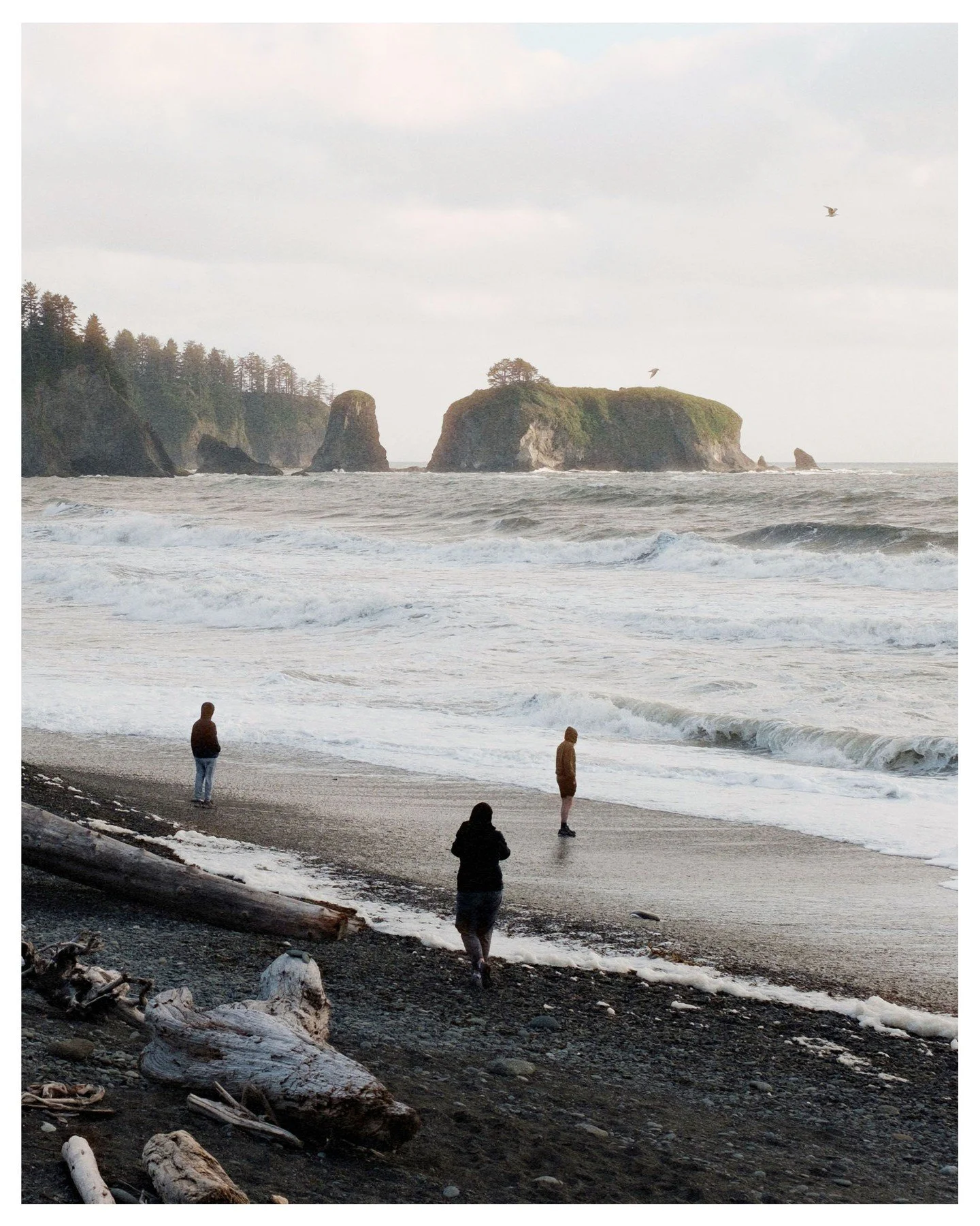 Liked Olympic so much that we went there twice this spring. Did not see vampires, but did freeze our asses off at the coast, and hiked in the rain.