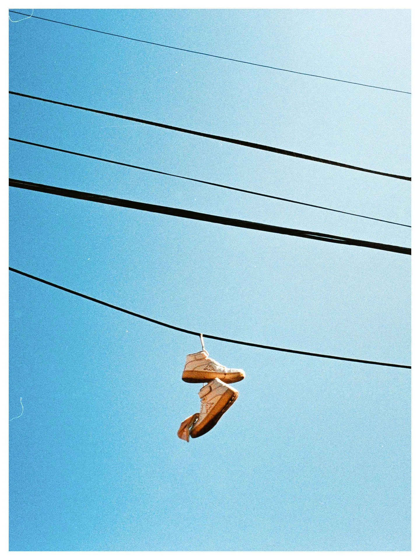 Portland was so fast it feels like a dream sometimes. Finally got around to developing these to prove it actually happened. (Bonus shots from Hood River area) 🏞️