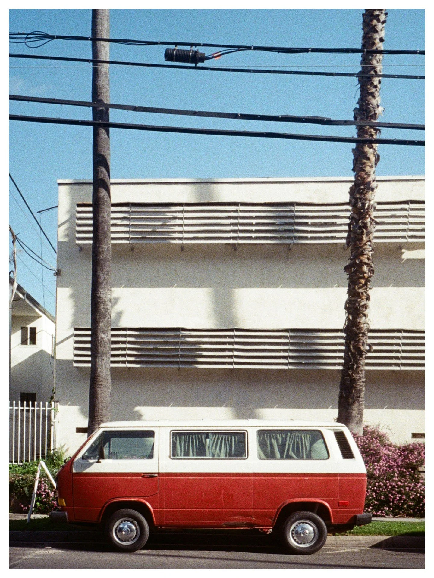 Old LA half-frames I stumbled across. Kinda proud I got the second and third shots with a film camera. I'm used to only shooting stationary objects on film. #itslikeadollaraphotodude #inthiseconomy ??