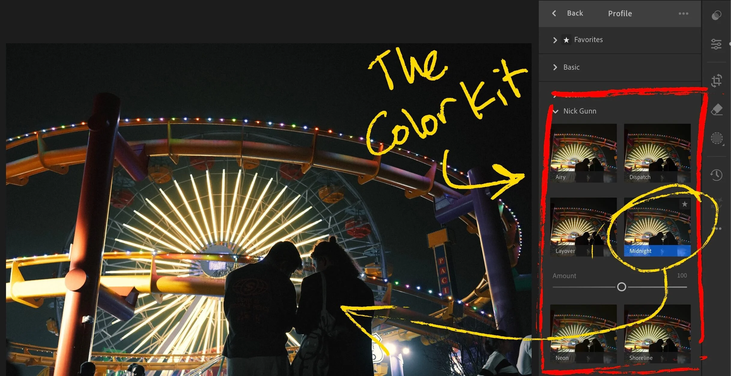 screenshot of adobe lightroom showing color profiles browser