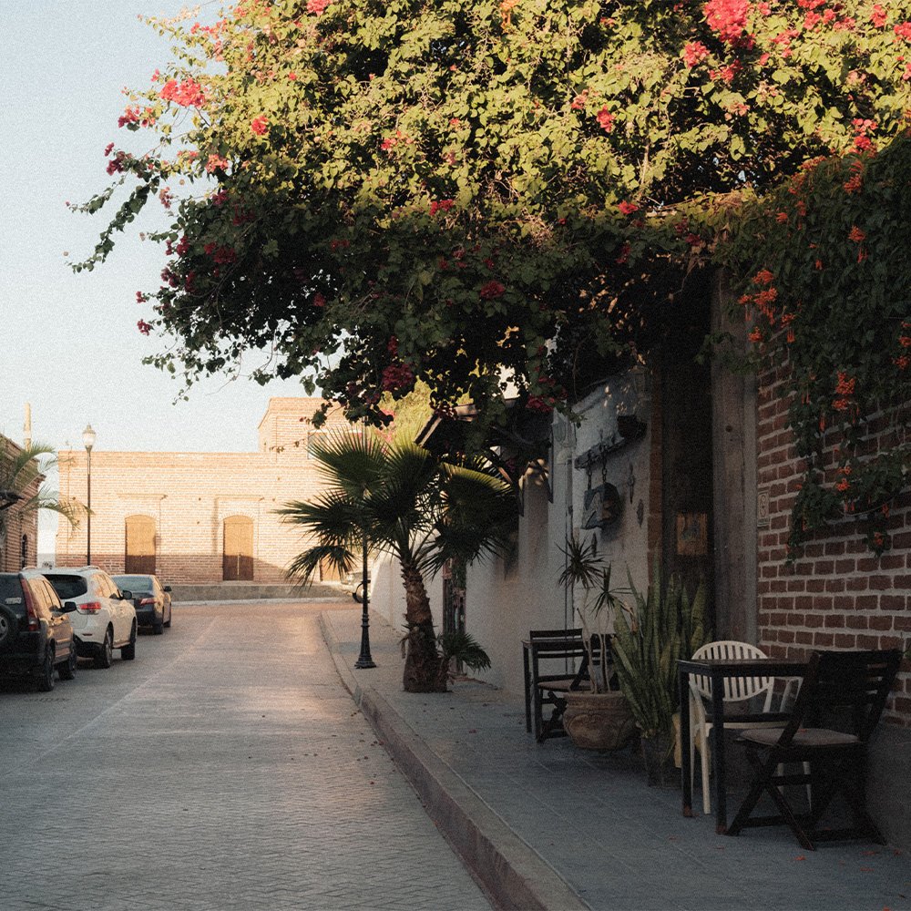 Lightroom Film Presets 4.jpg