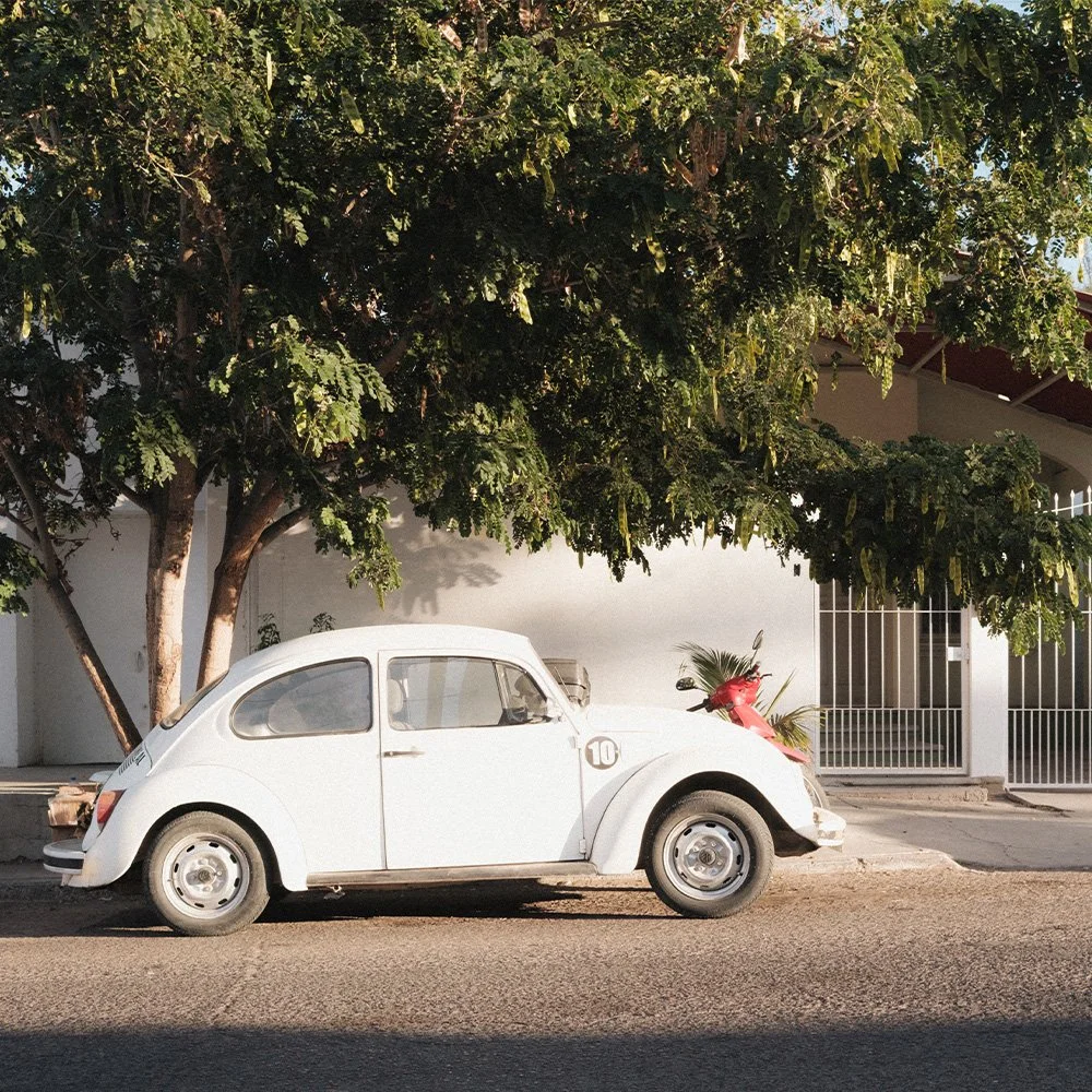 Lightroom Film Presets 1.jpg