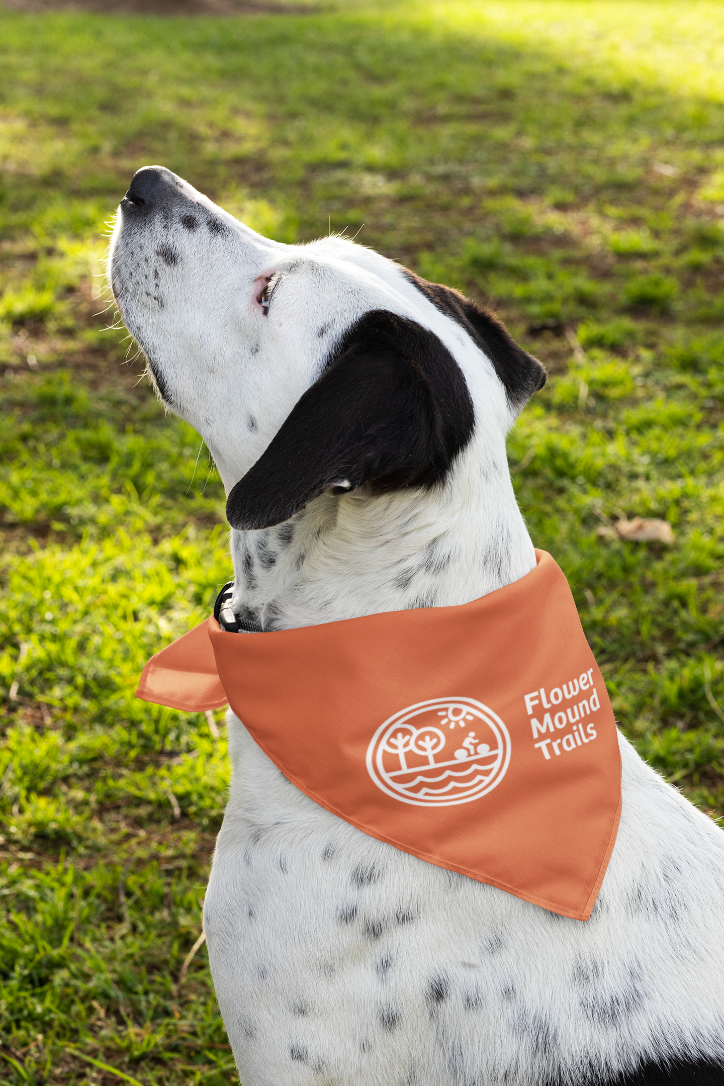 bandana-mockup-featuring-a-dog-outside-33286.png