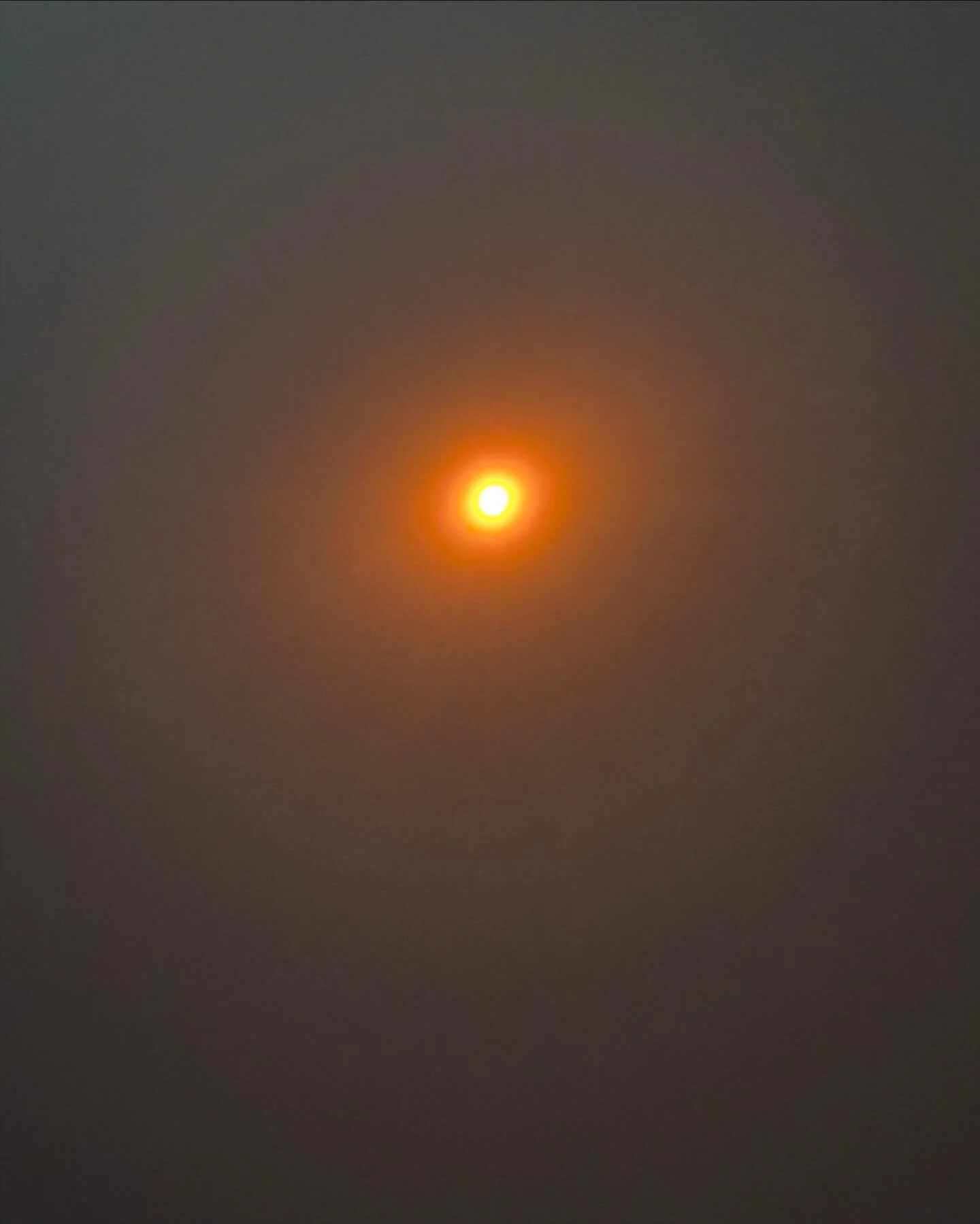 Just hanging out with the #solareclipse  today. Using a special filter. #shotoniphone