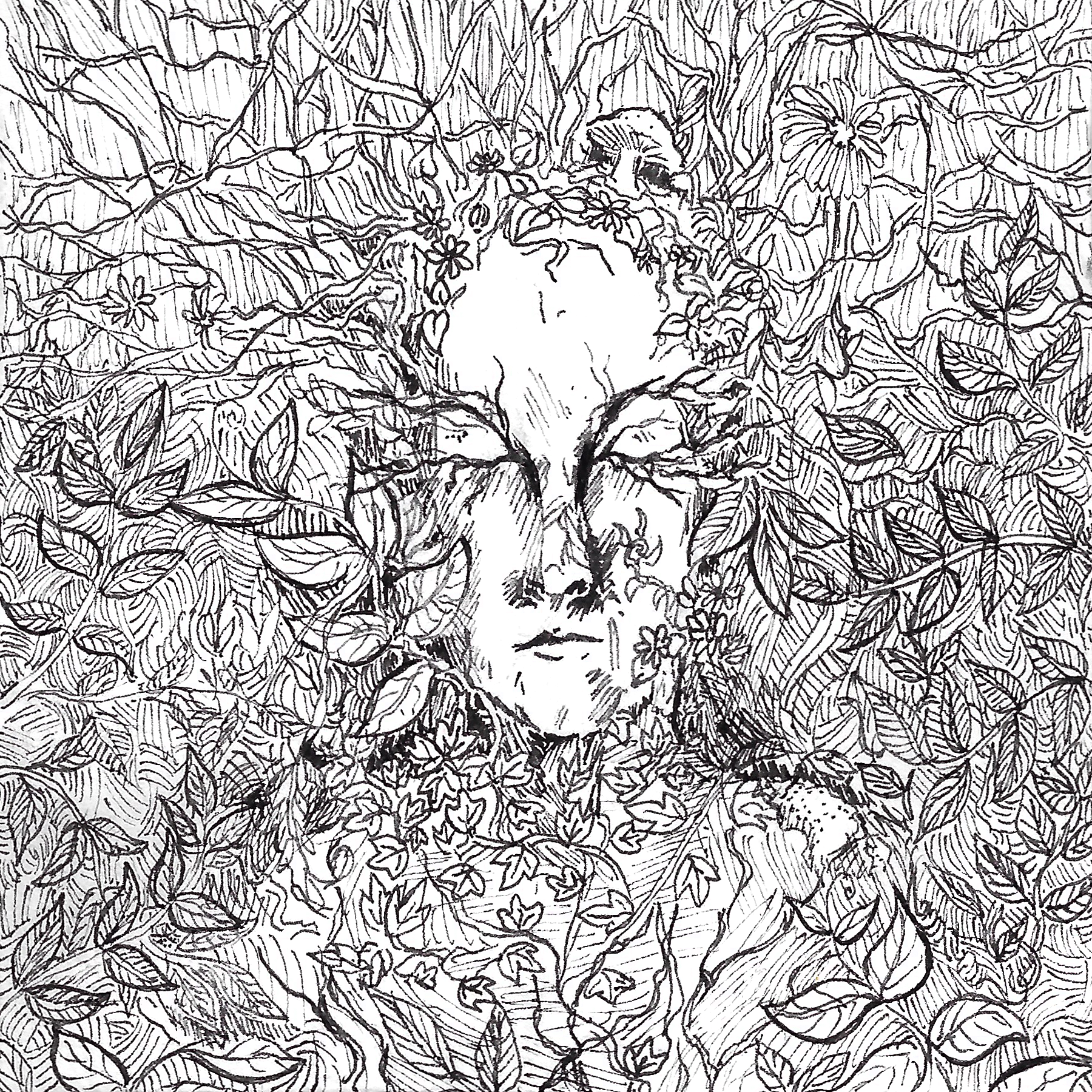 [image description: a sleeping face is visible in the center, mostly concealed by thick foliage]