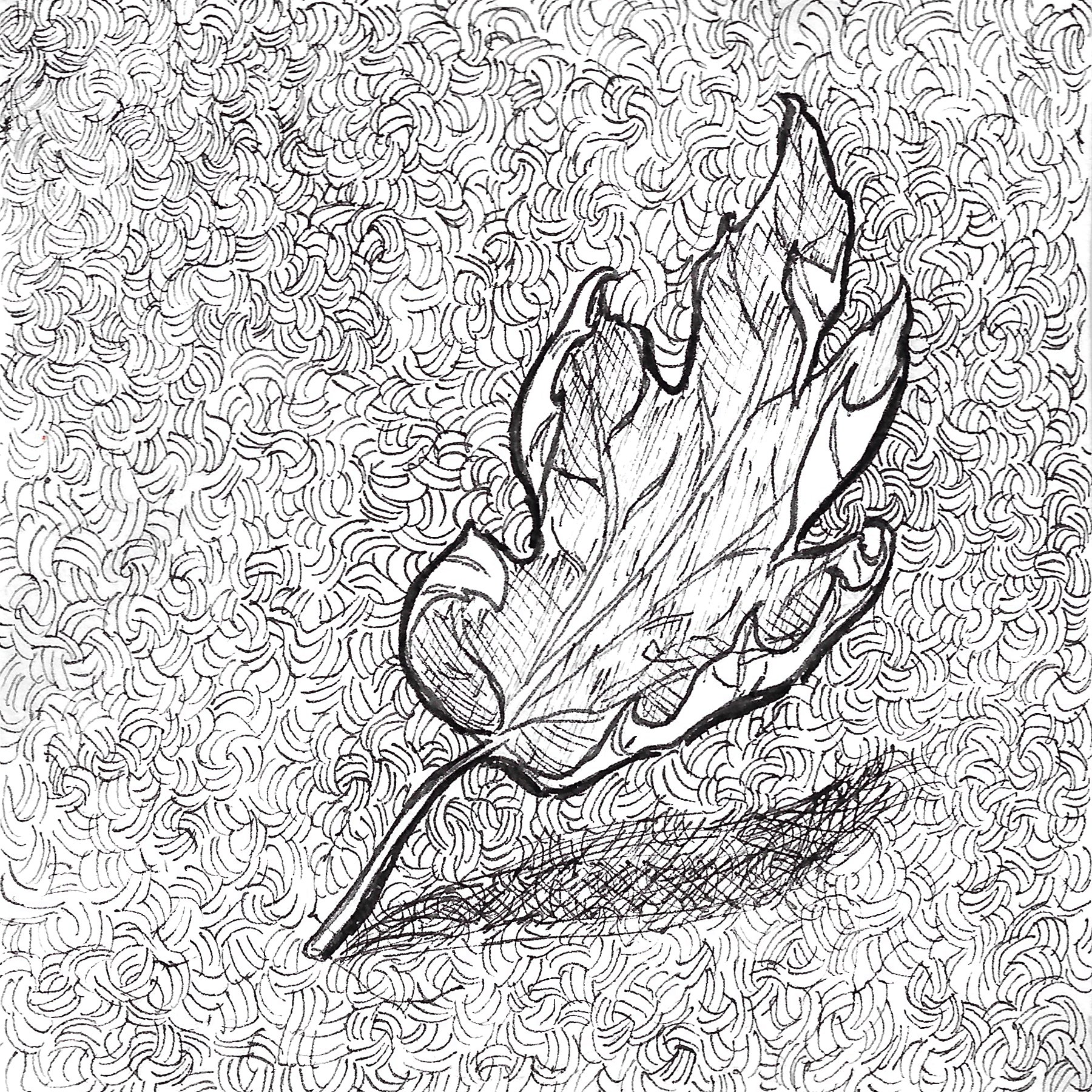 [image description: a dried maple leaf casting a small shadow]