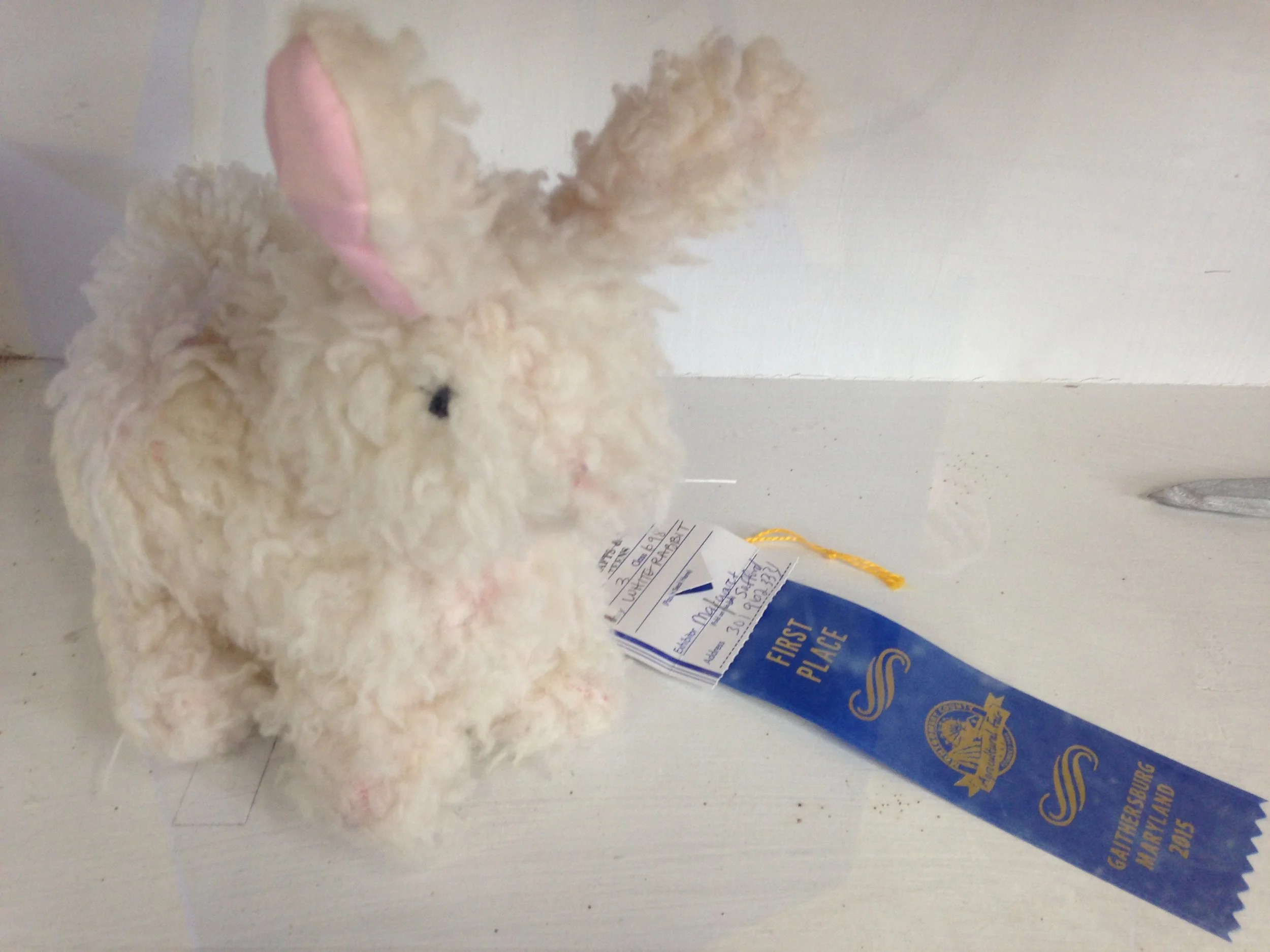 A plush bunny I designed and constructed as a child. 