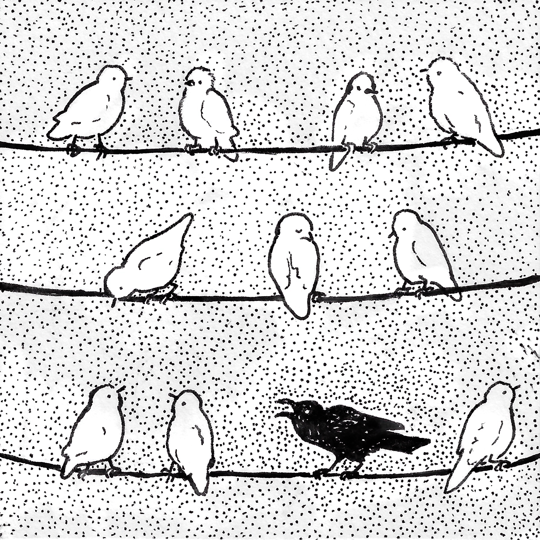 birds on 3 wires. all of them are white songbirds except the second to last one on the bottom wire which is a crow.