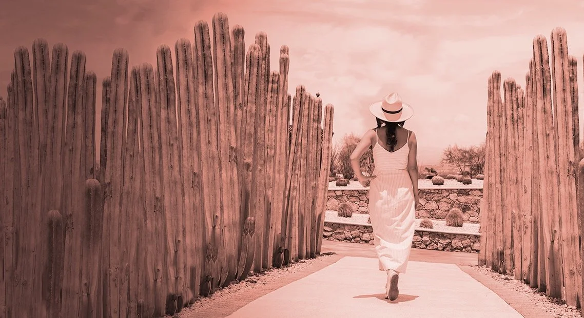 Ariessence PDGF+ — About Faces Cosmetic Surgery and Med Spa