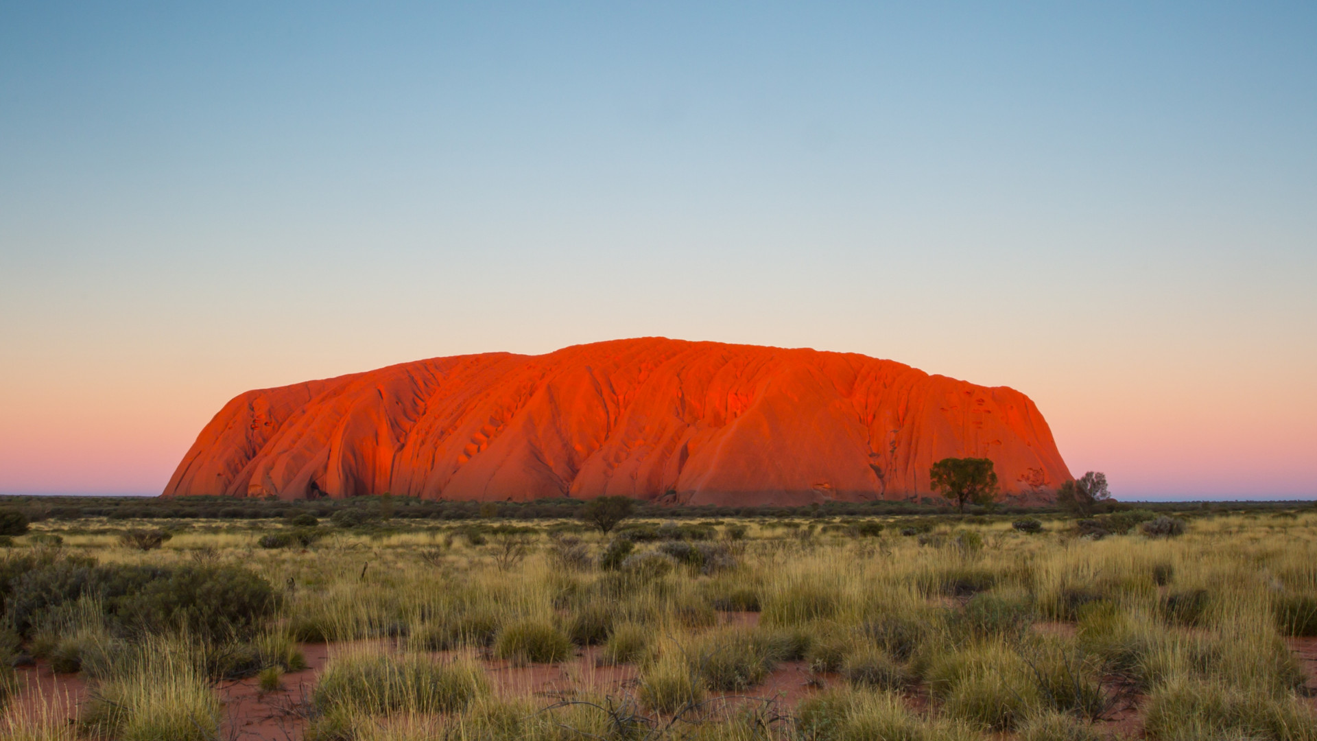 FOI Australia Website.png