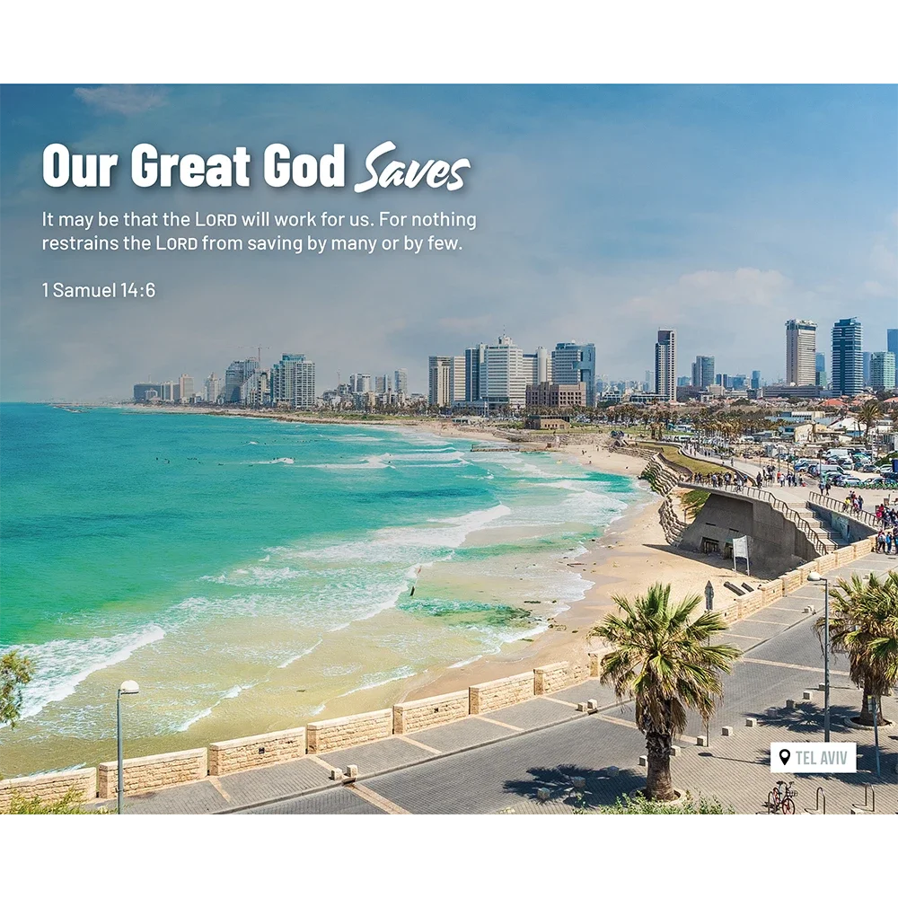 C27 (4).webp