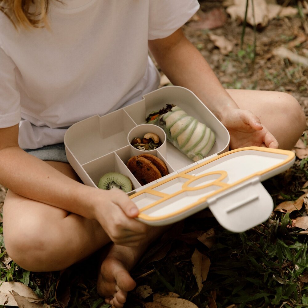 Top Eco-Friendly Lunch Boxes
