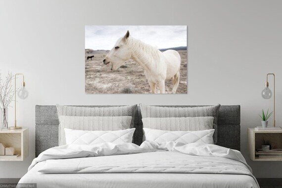 https://i.etsystatic.com/9313701/r/il/2e35c8/2921041849/il_570xN.2921041849_jirq.jpg