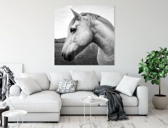https://i.etsystatic.com/9313701/r/il/5786d1/2906759123/il_570xN.2906759123_2cua.jpg