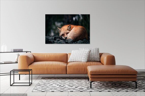 https://i.etsystatic.com/9313701/r/il/d1714d/2864152038/il_570xN.2864152038_6s38.jpg