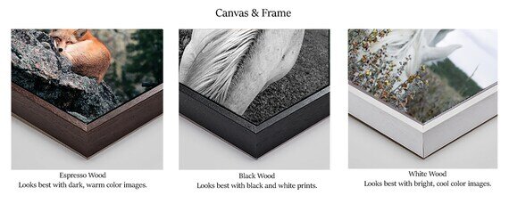 https://i.etsystatic.com/9313701/r/il/2a8aa6/2864155312/il_570xN.2864155312_37cg.jpg