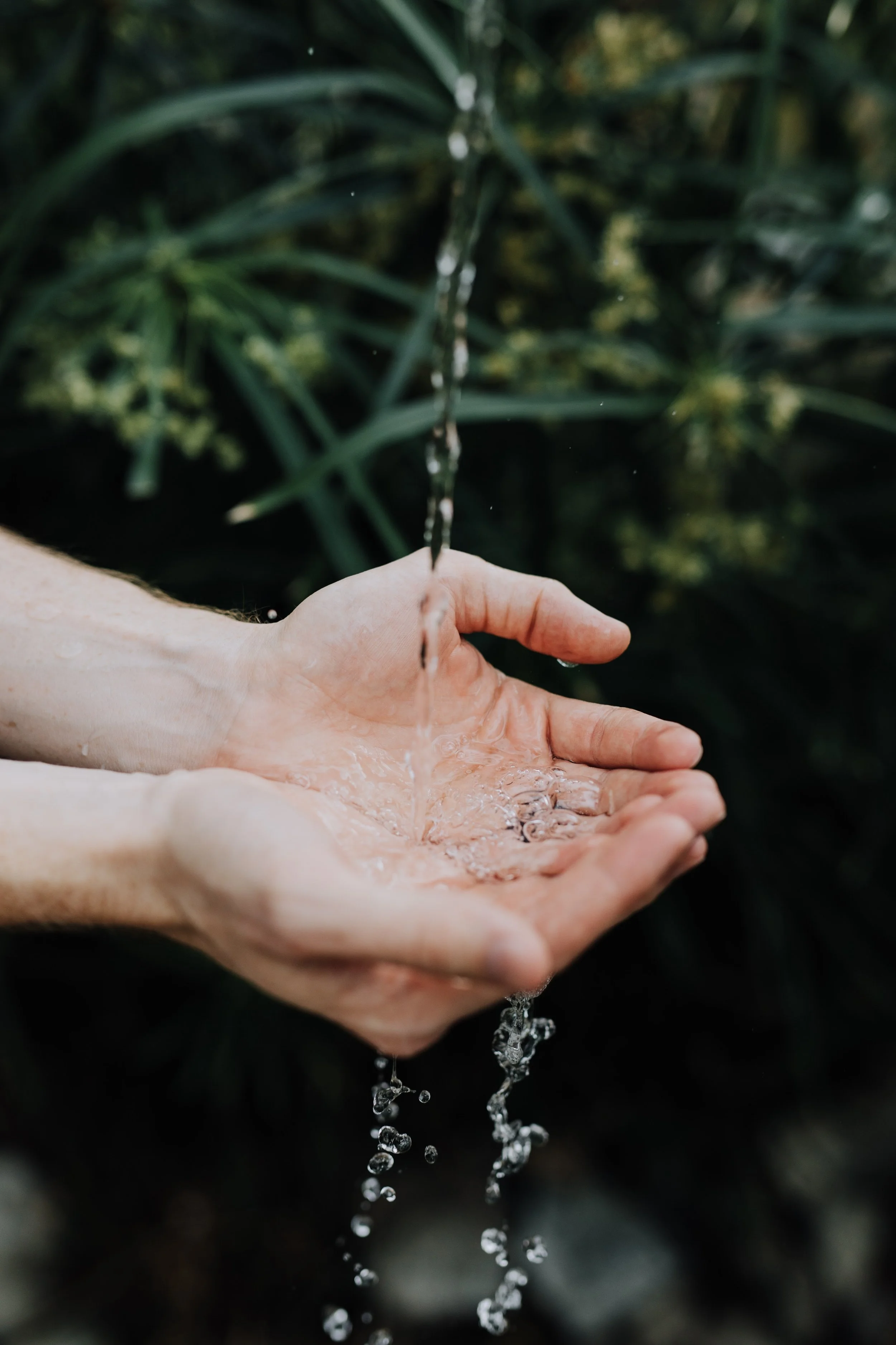 Self-Care vs True Nourishment: What Your Body Actually Needs