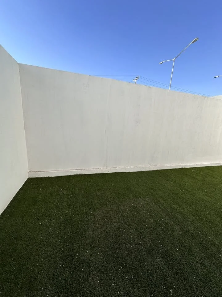 458303048_1279441099982735_5950027071208498074_n.jpg