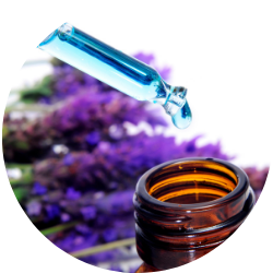 Michelle Blum Brisbane Naturopath
