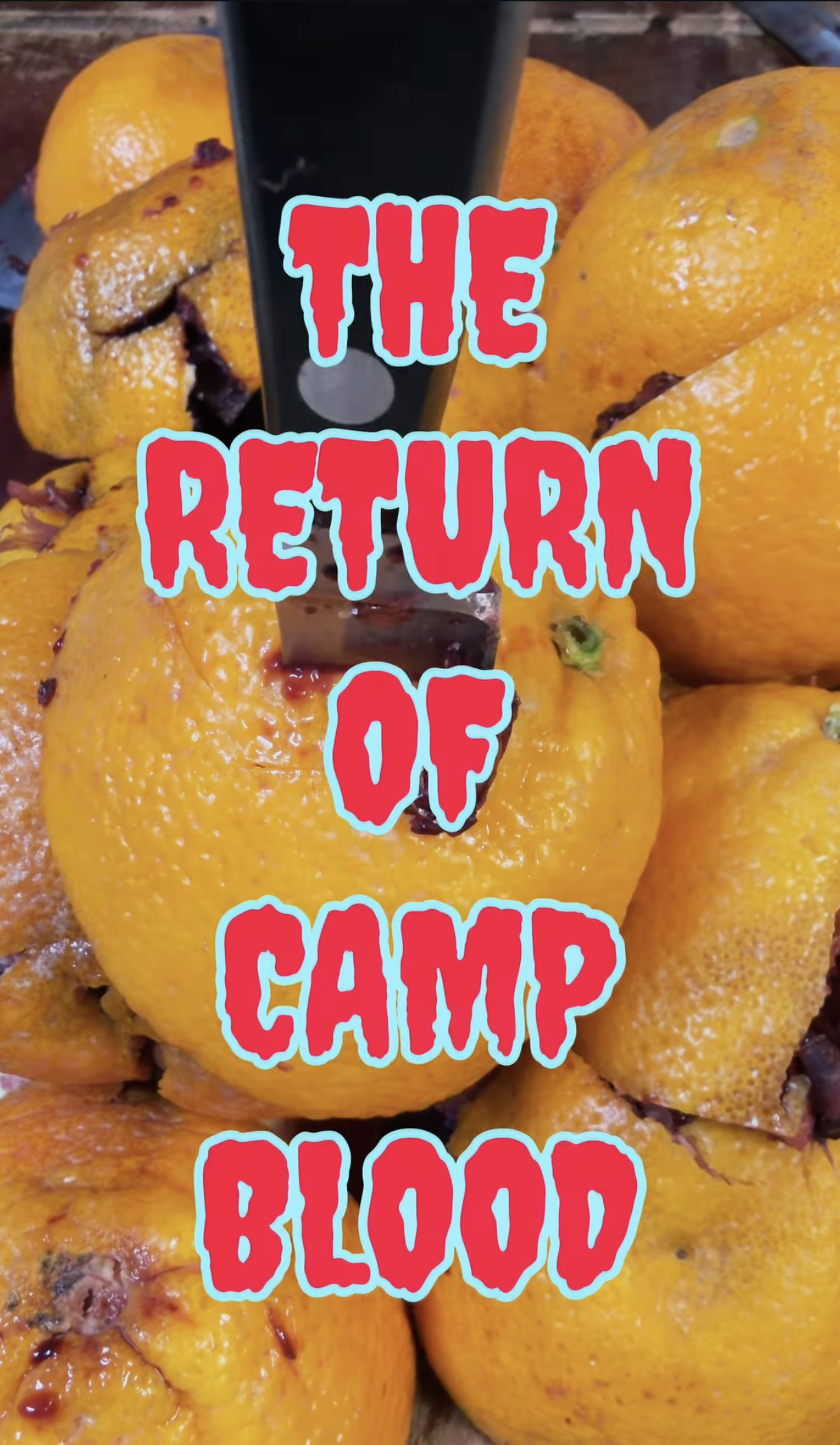The Return Of Camp Blood