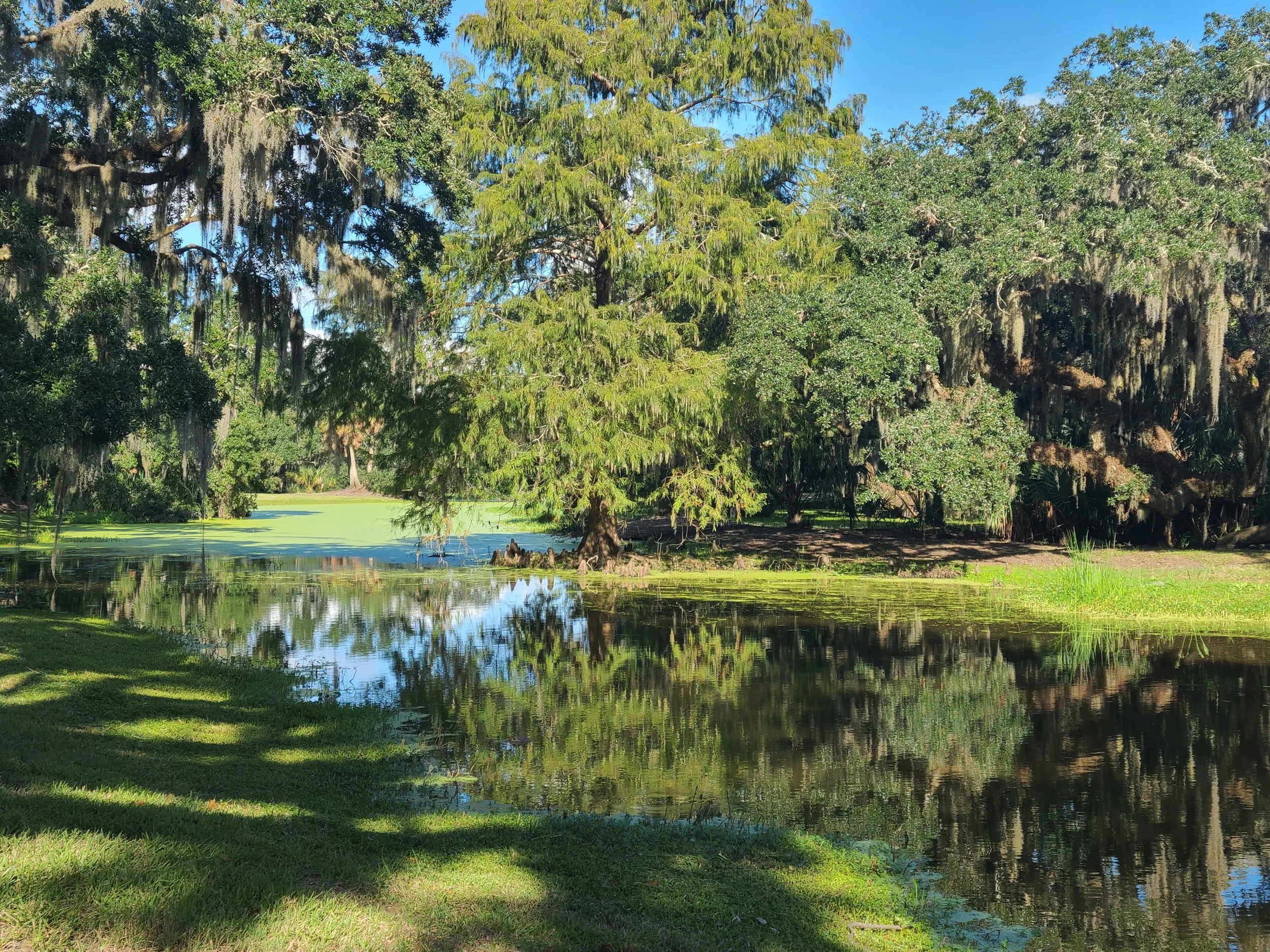 Avery Island, Iberia Parish, Louisiana